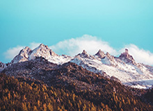 后防太难堪！普兰西尔不讲理强突2人穿裆破门，迈阿密被扳平